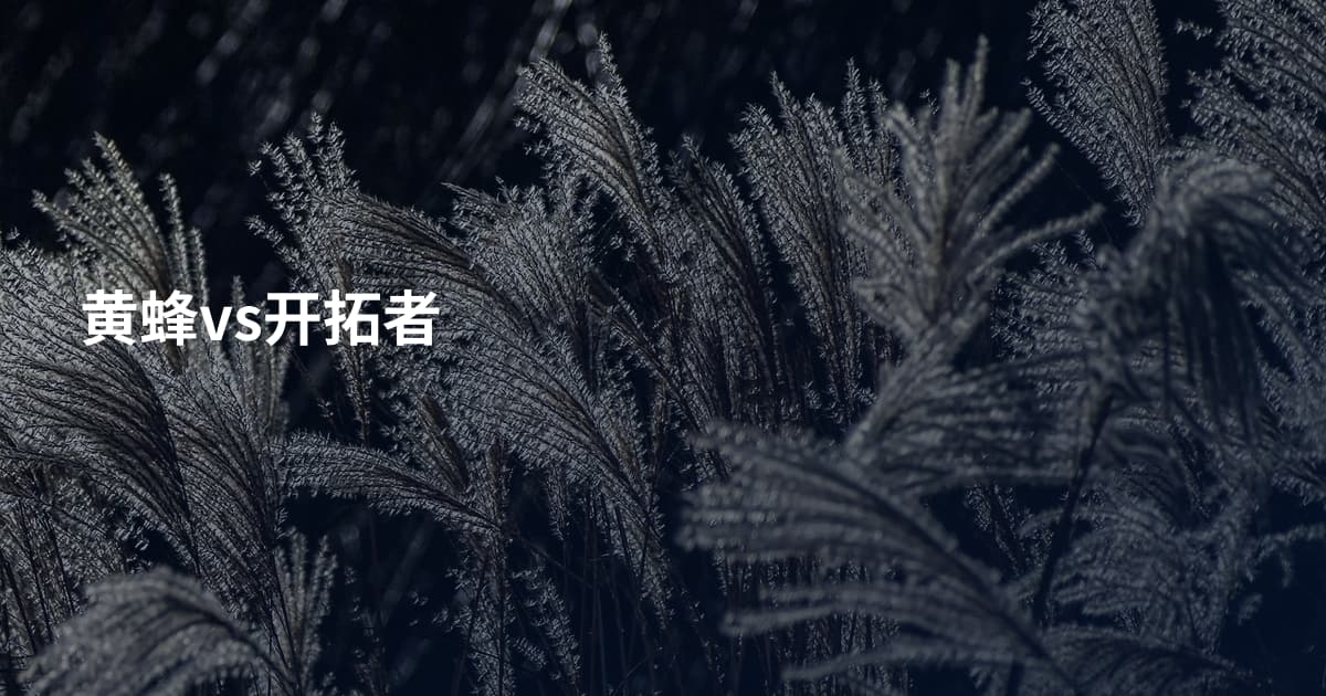 黄蜂vs开拓者
