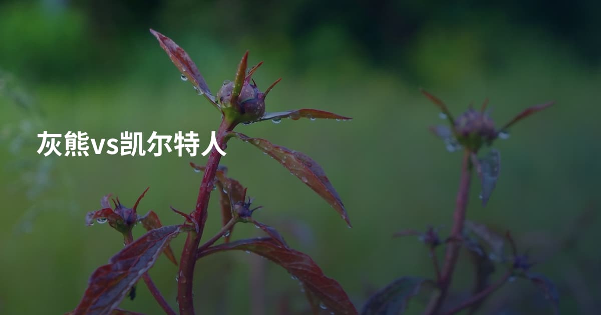 灰熊vs凯尔特人