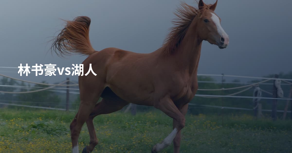 林书豪vs湖人