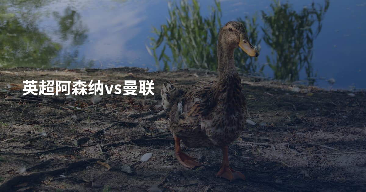 英超阿森纳vs曼联