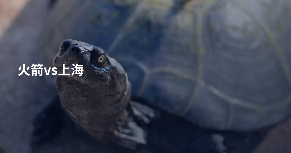火箭vs上海
