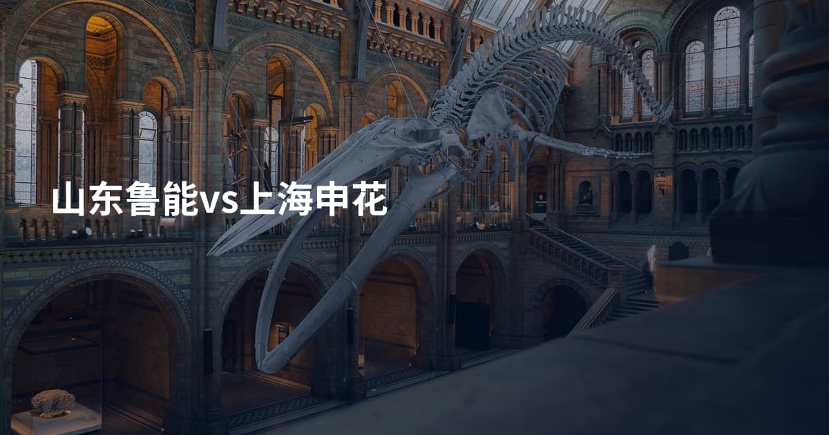 山东鲁能vs上海申花