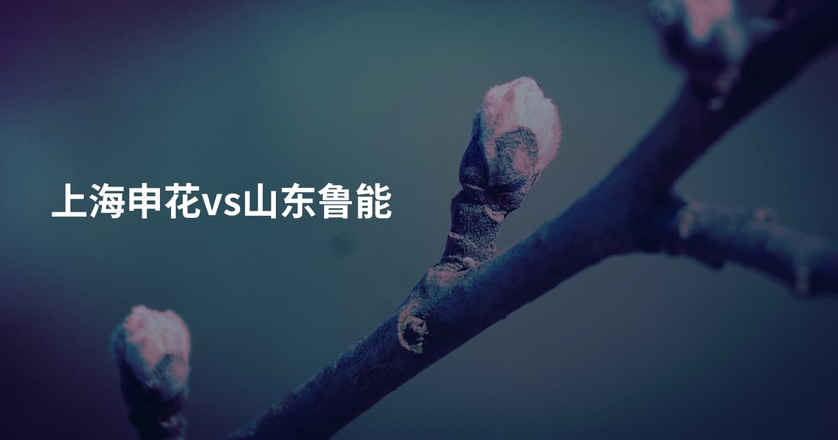 上海申花vs山东鲁能