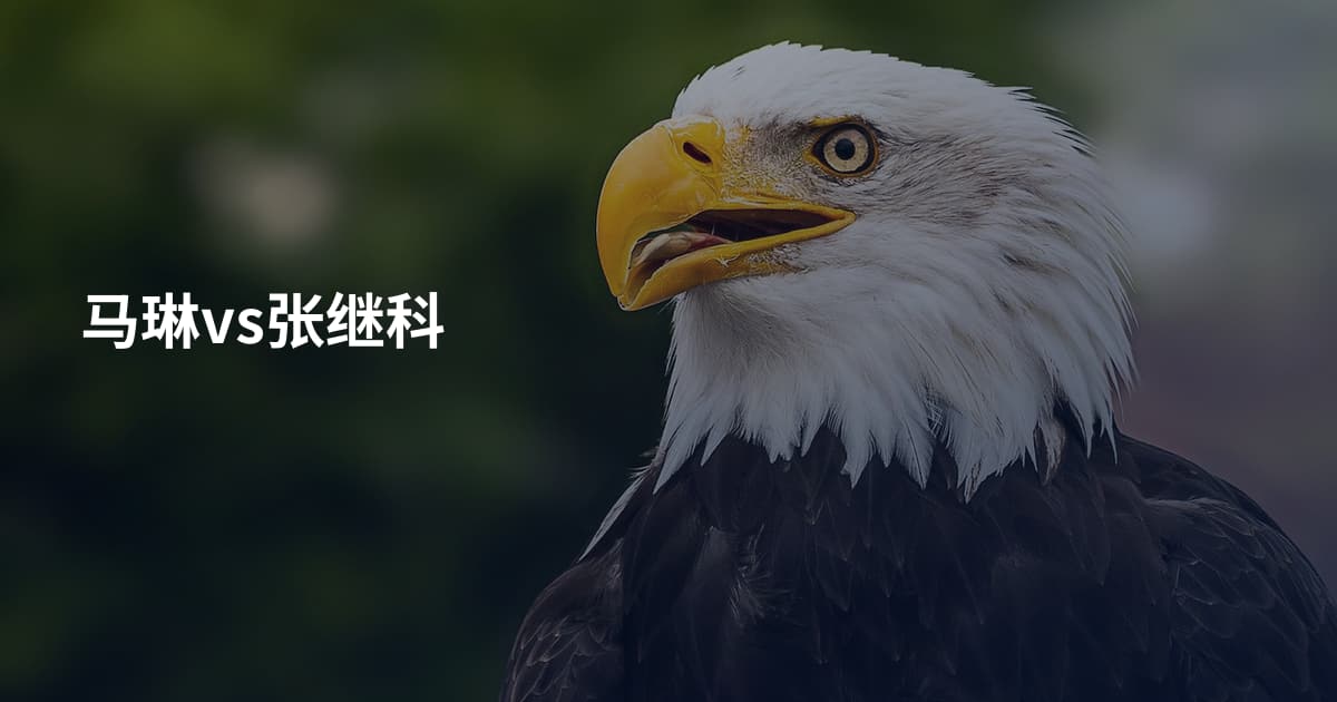 马琳vs张继科