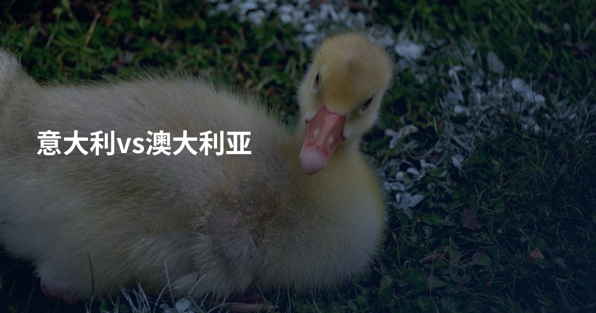 意大利vs澳大利亚
