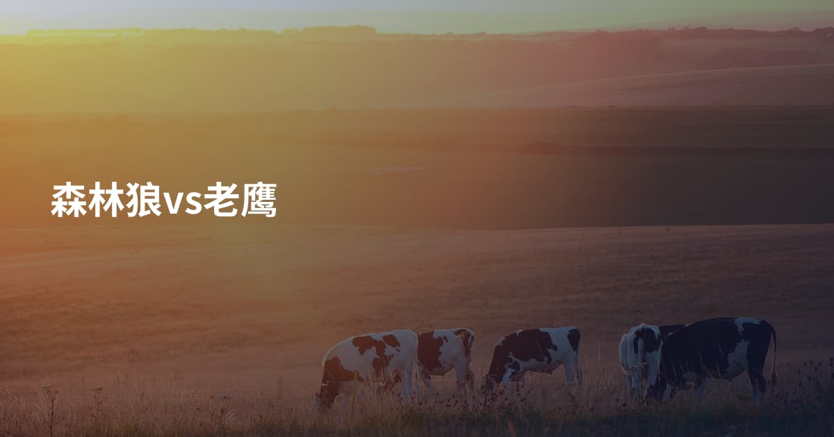 森林狼vs老鹰