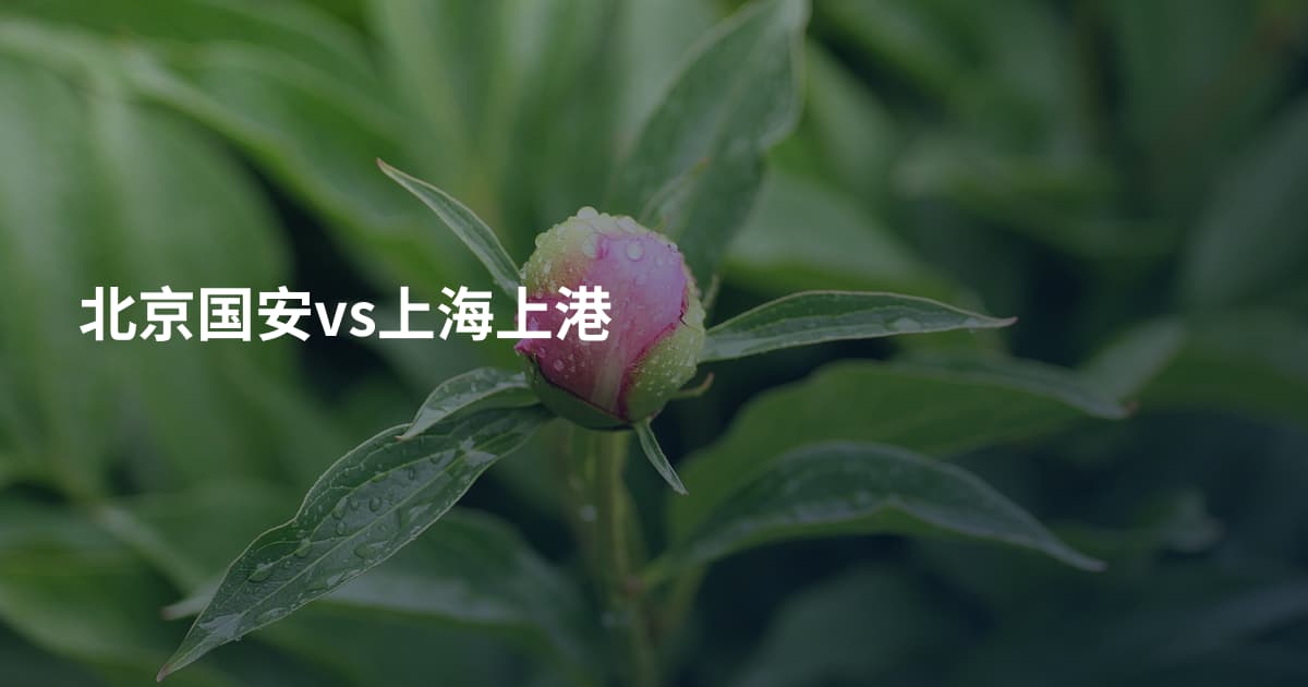 北京国安vs上海上港