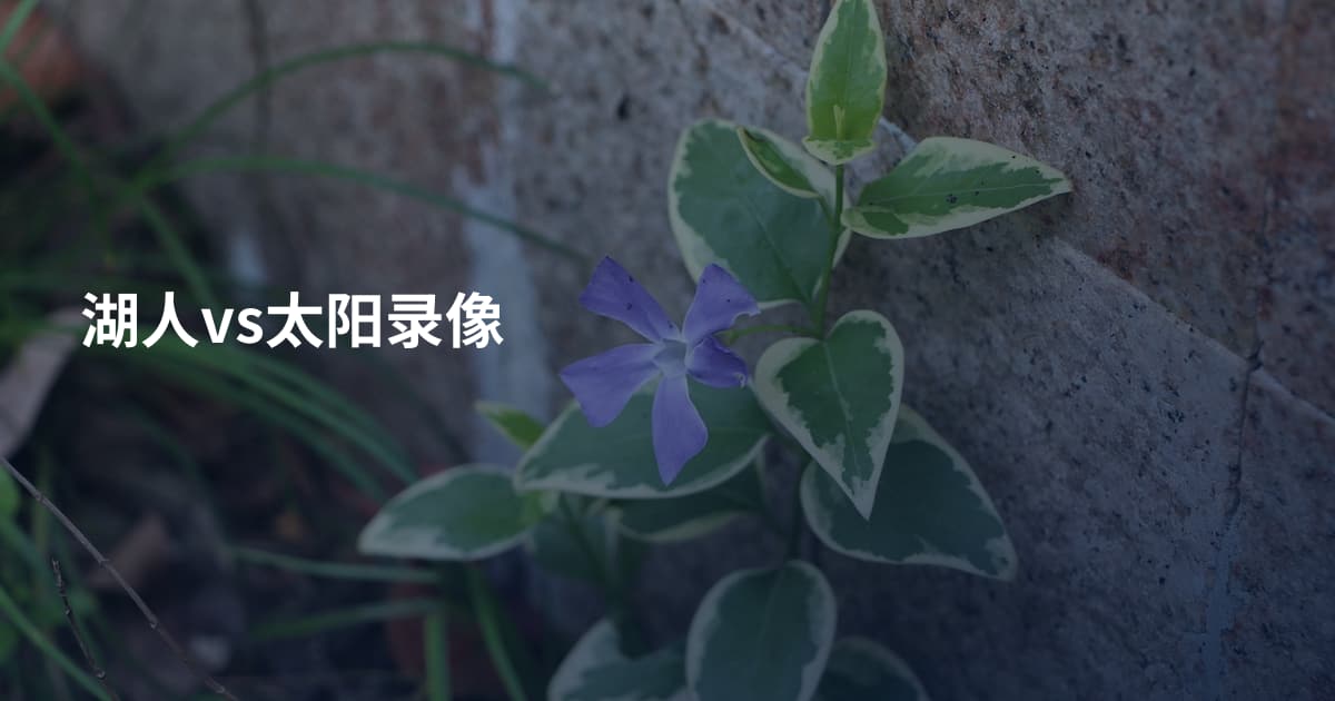 湖人vs太阳录像