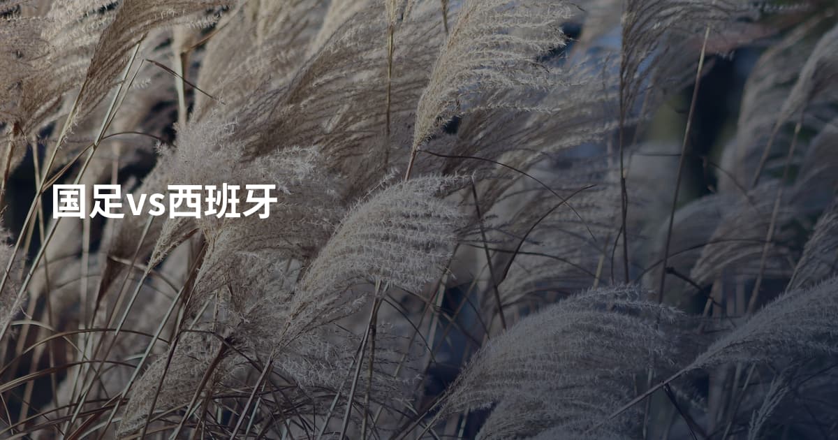 国足vs西班牙