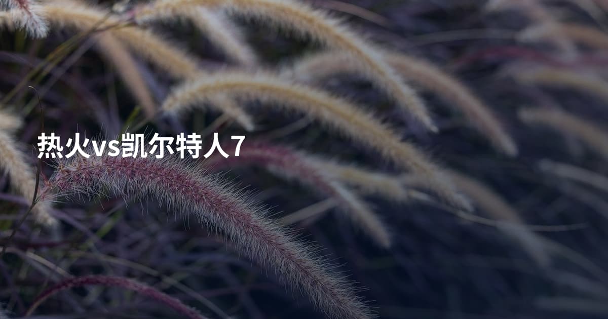 热火vs凯尔特人7