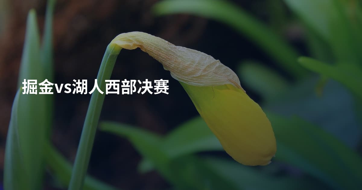 掘金vs湖人西部决赛