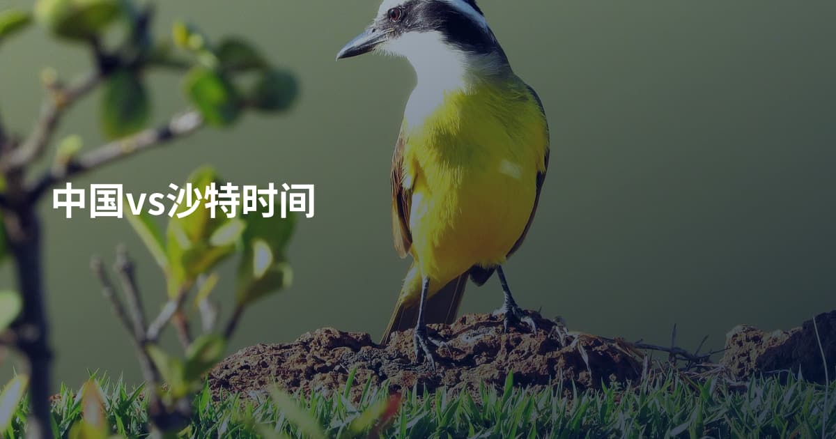 中国vs沙特时间