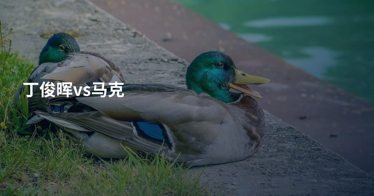 丁俊晖vs马克