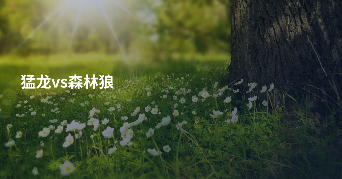 猛龙vs森林狼