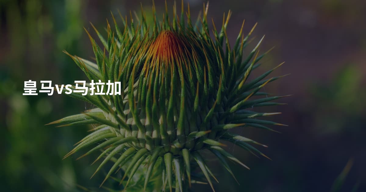 皇马vs马拉加