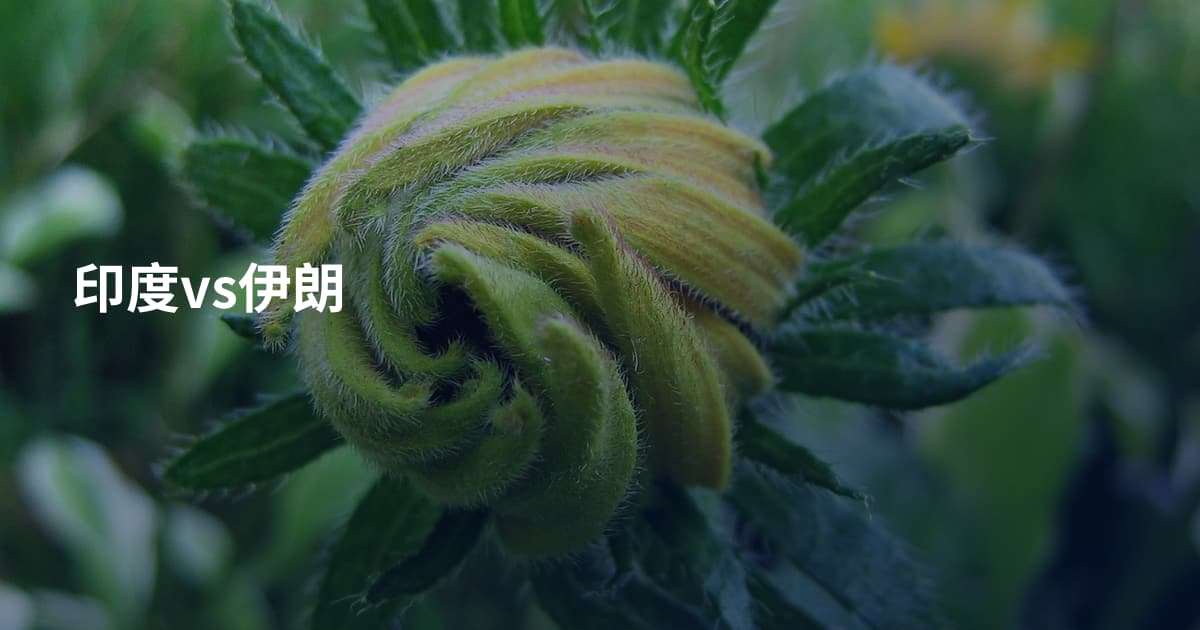 印度vs伊朗