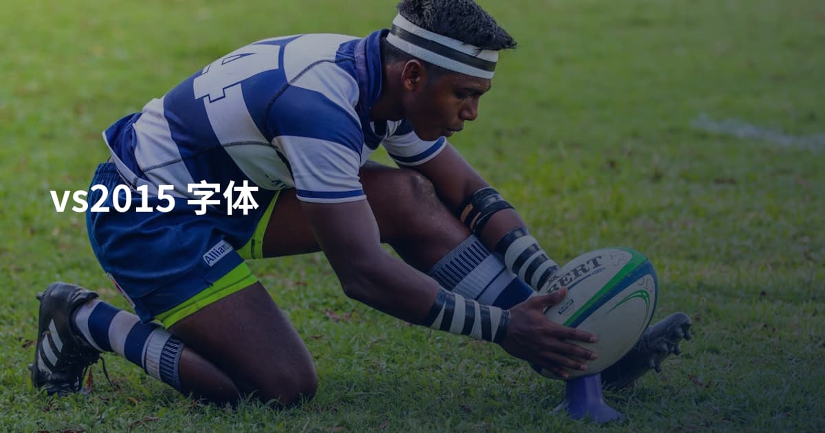 vs2015 字体