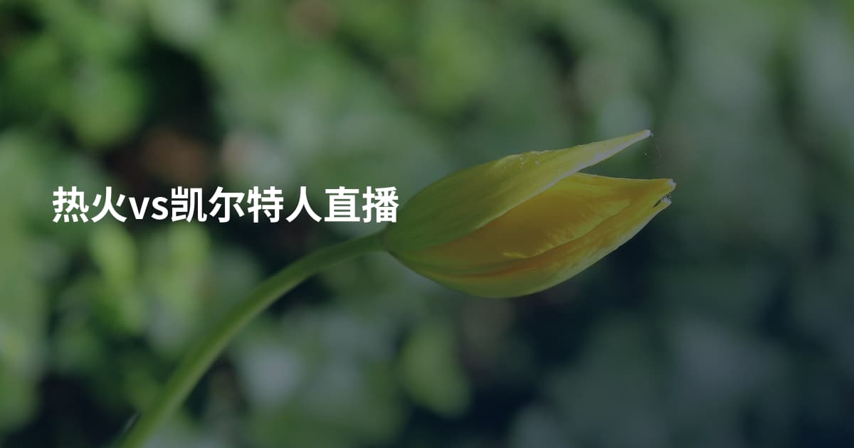 热火vs凯尔特人直播