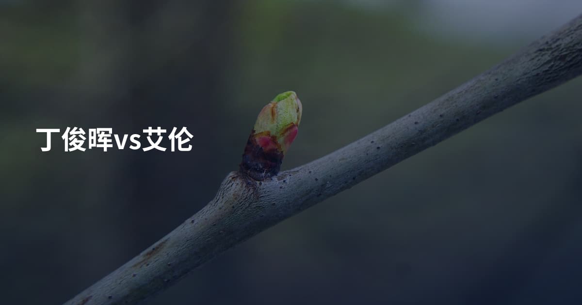 丁俊晖vs艾伦