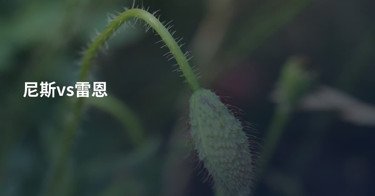尼斯vs雷恩