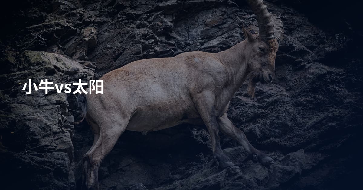 小牛vs太阳