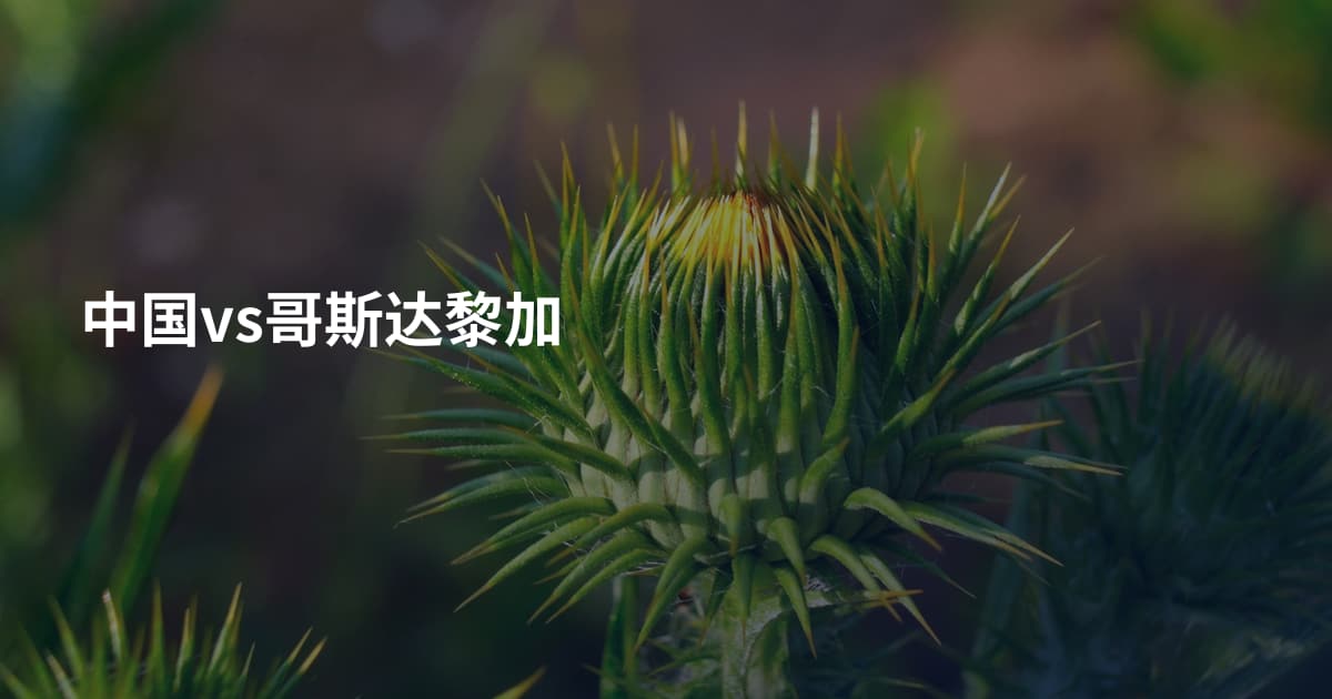 中国vs哥斯达黎加