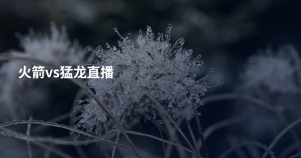 火箭vs猛龙直播