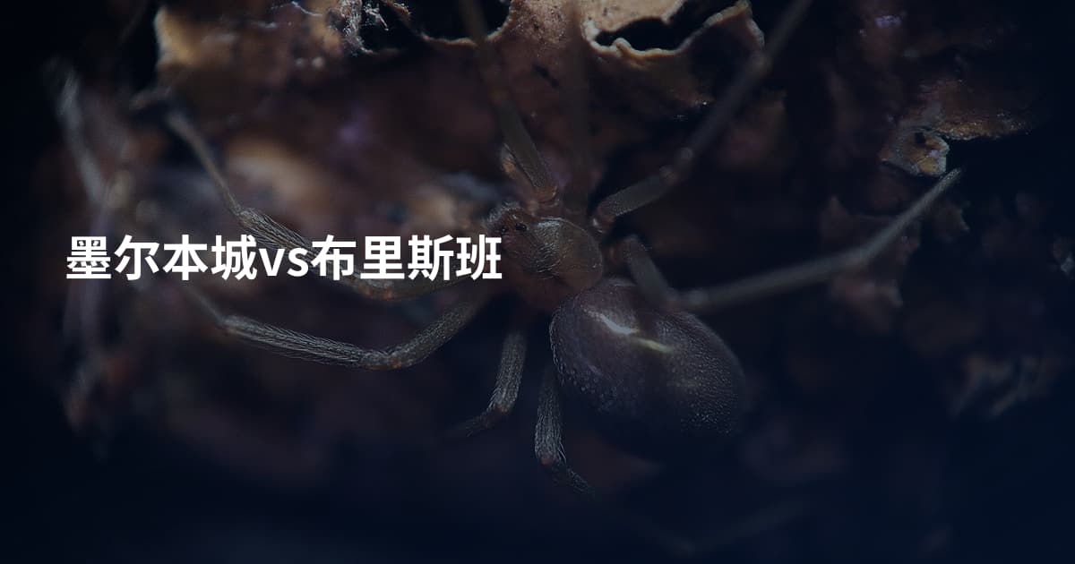 墨尔本城vs布里斯班