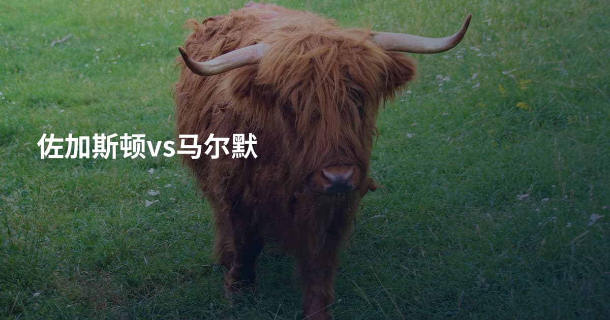 佐加斯顿vs马尔默