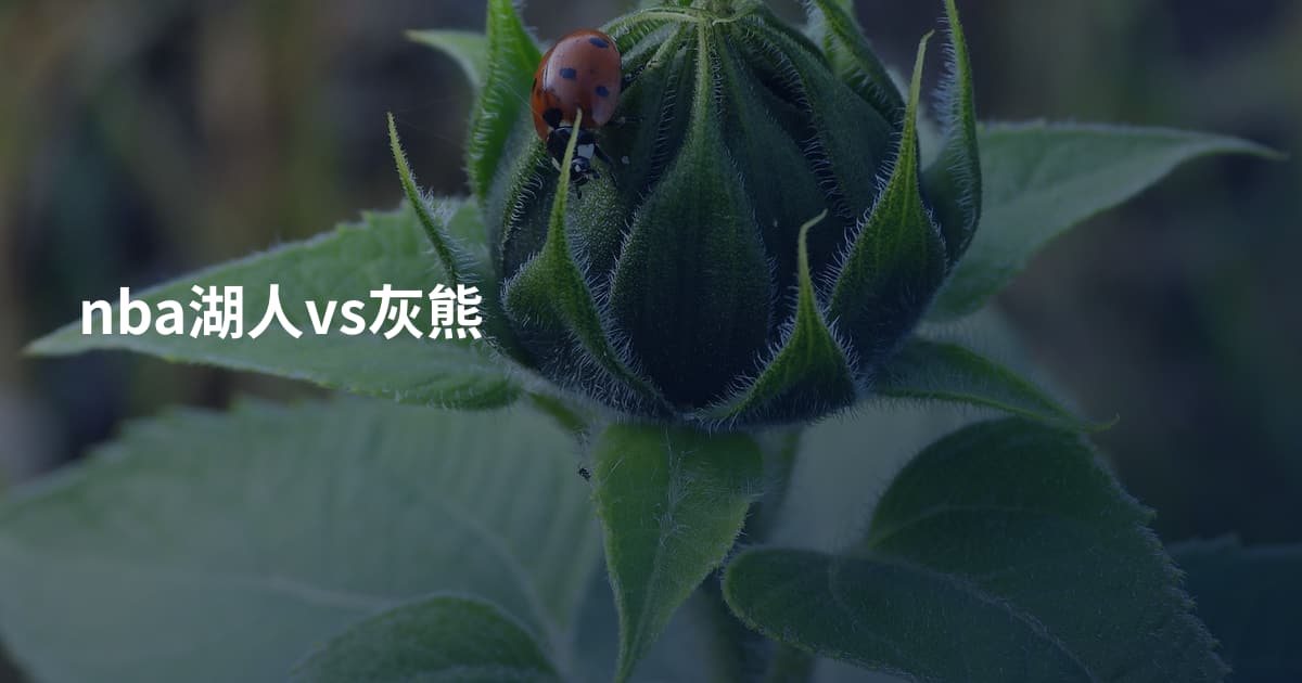 nba湖人vs灰熊