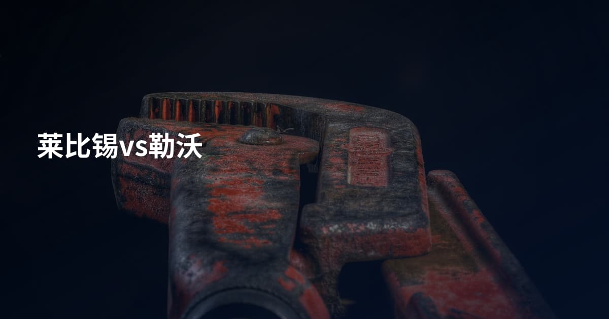 莱比锡vs勒沃