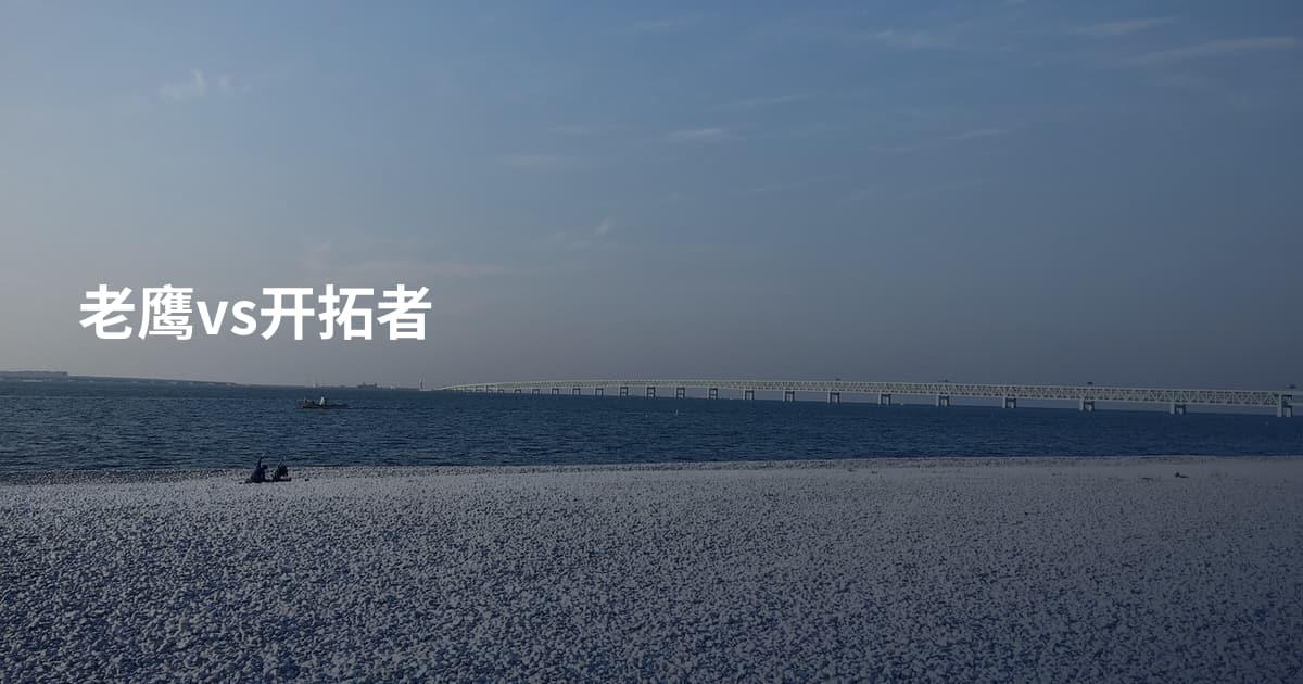 老鹰vs开拓者