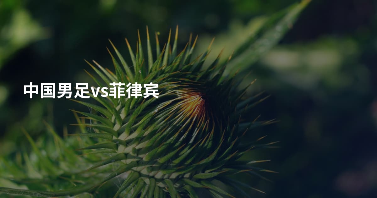 中国男足vs菲律宾
