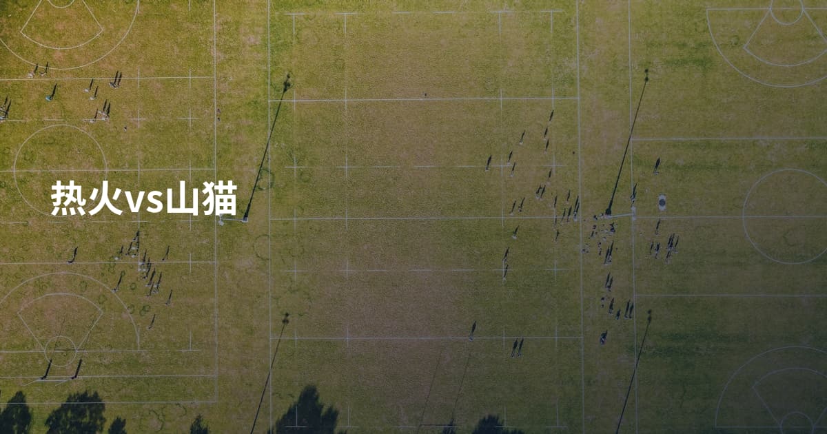 热火vs山猫
