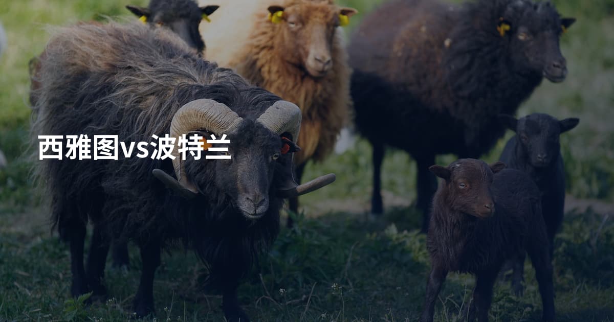 西雅图vs波特兰