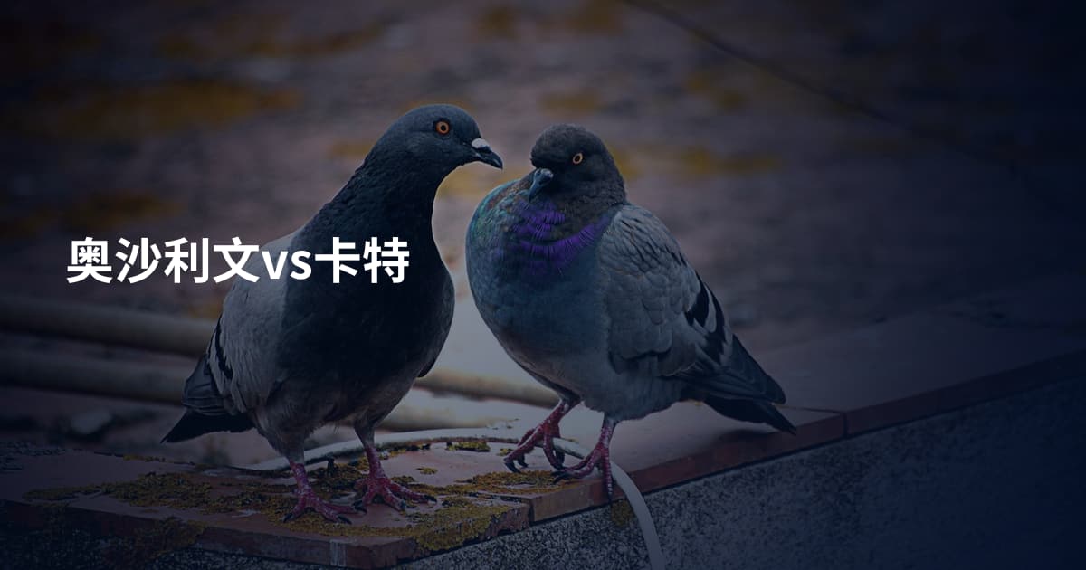 奥沙利文vs卡特