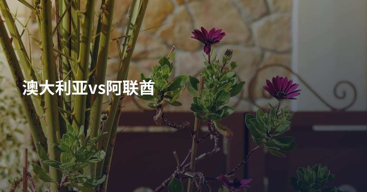 澳大利亚vs阿联酋