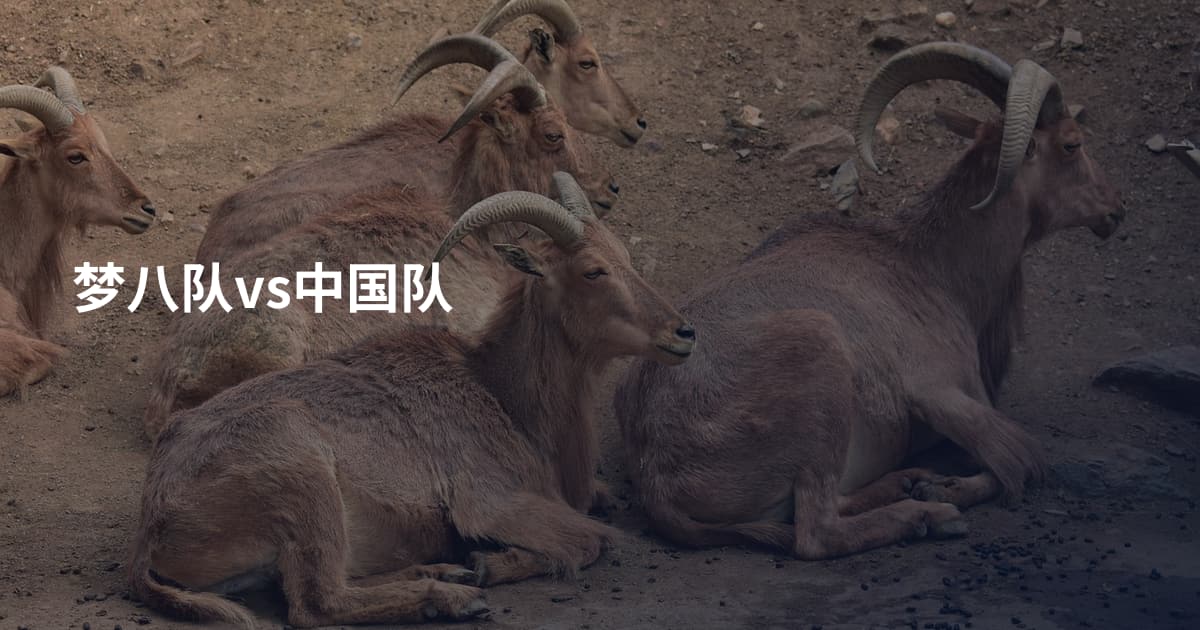 梦八队vs中国队