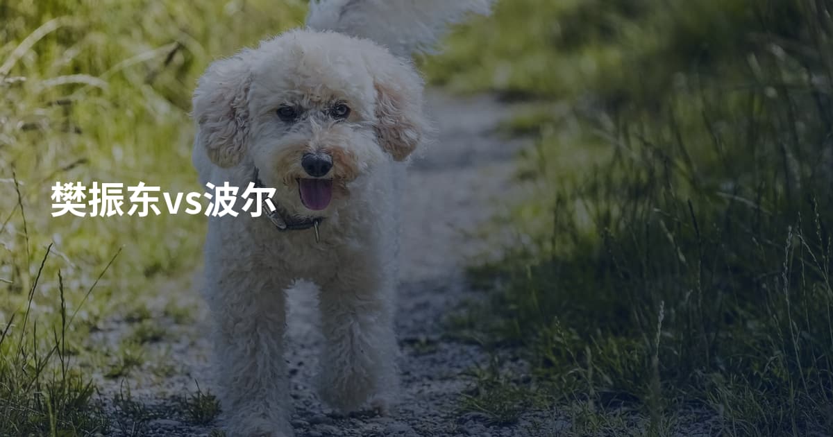 樊振东vs波尔