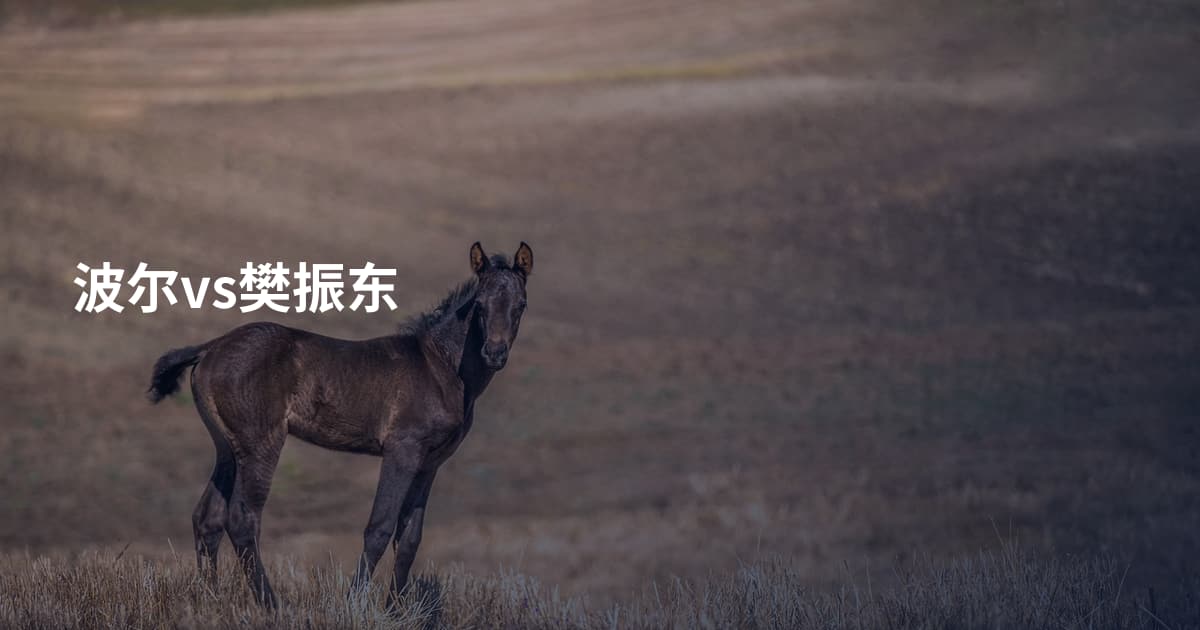波尔vs樊振东