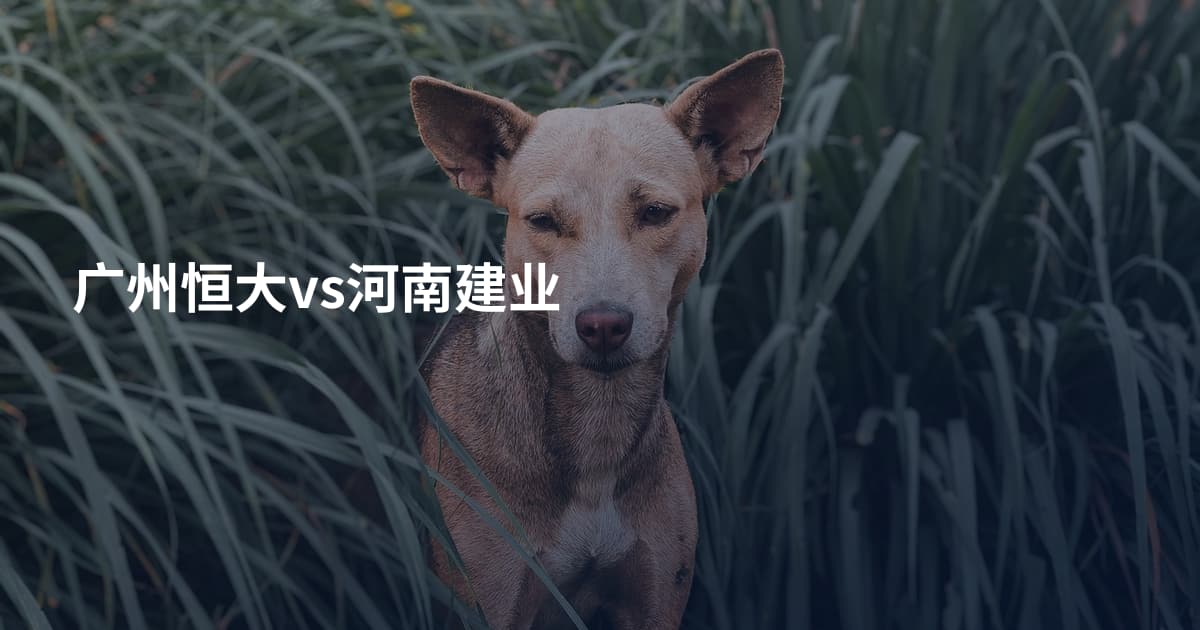 广州恒大vs河南建业