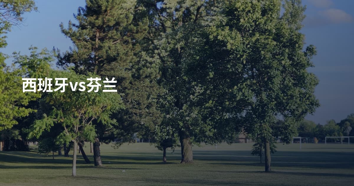 西班牙vs芬兰