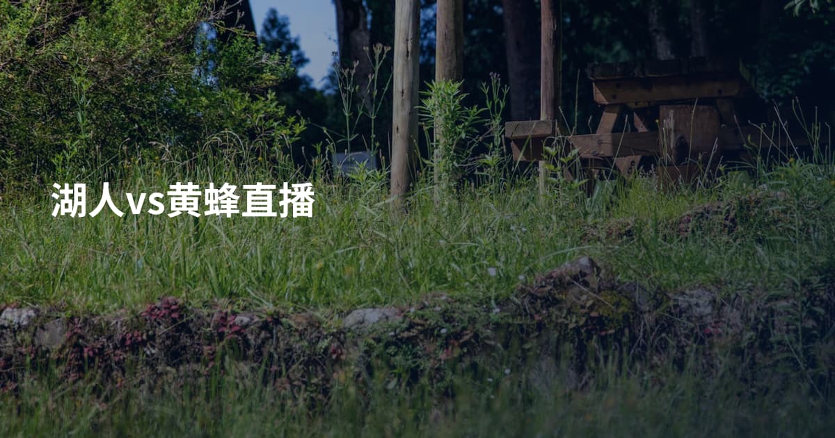 湖人vs黄蜂直播