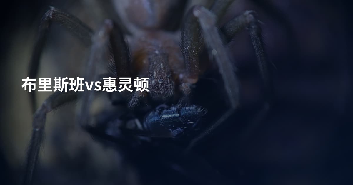 布里斯班vs惠灵顿