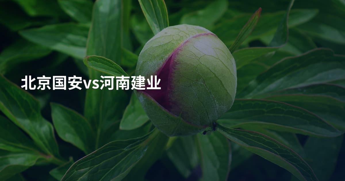 北京国安vs河南建业