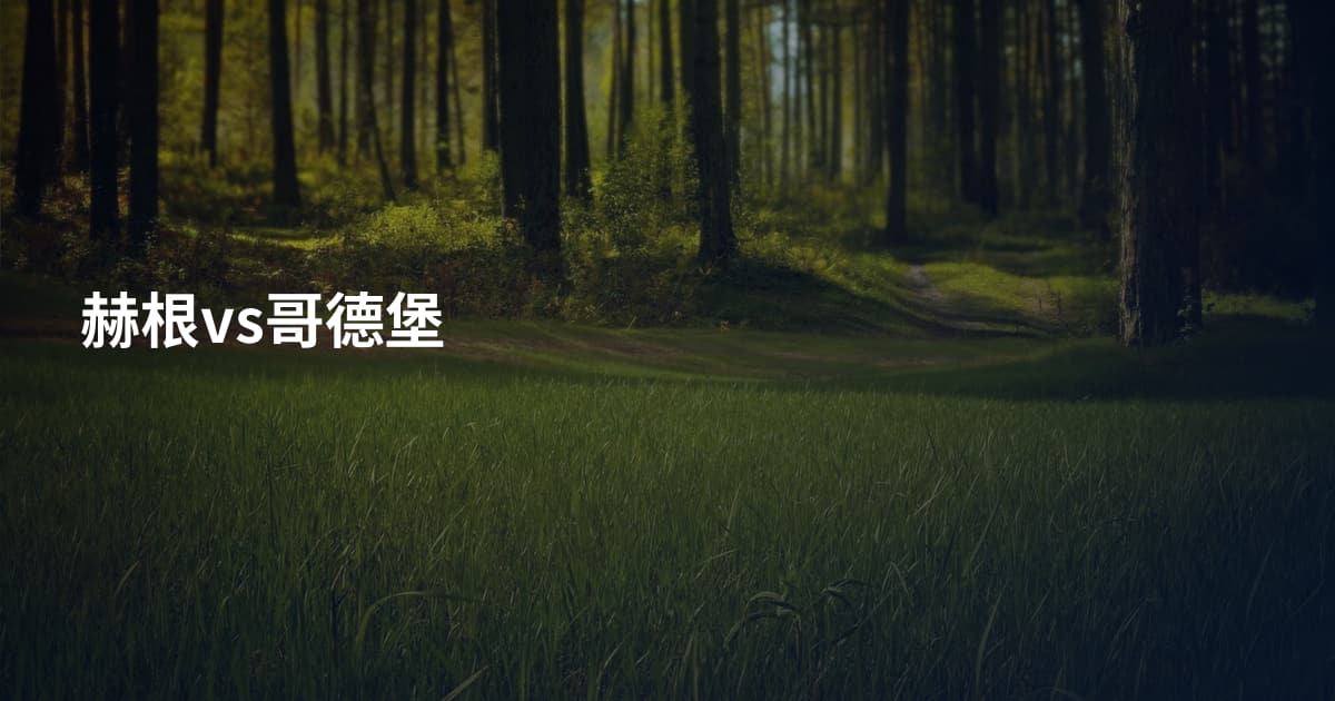 赫根vs哥德堡