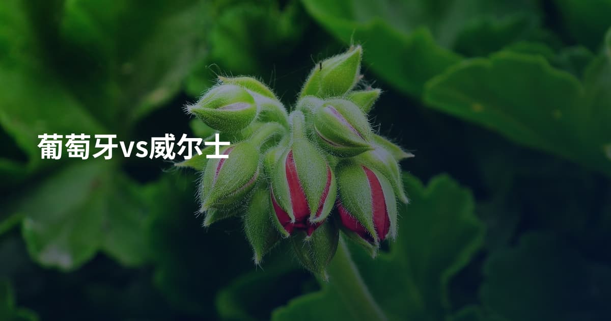 葡萄牙vs威尔士