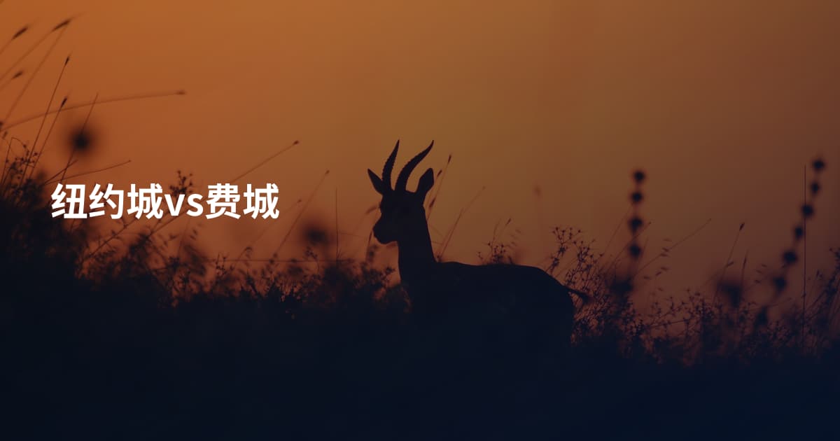 纽约城vs费城