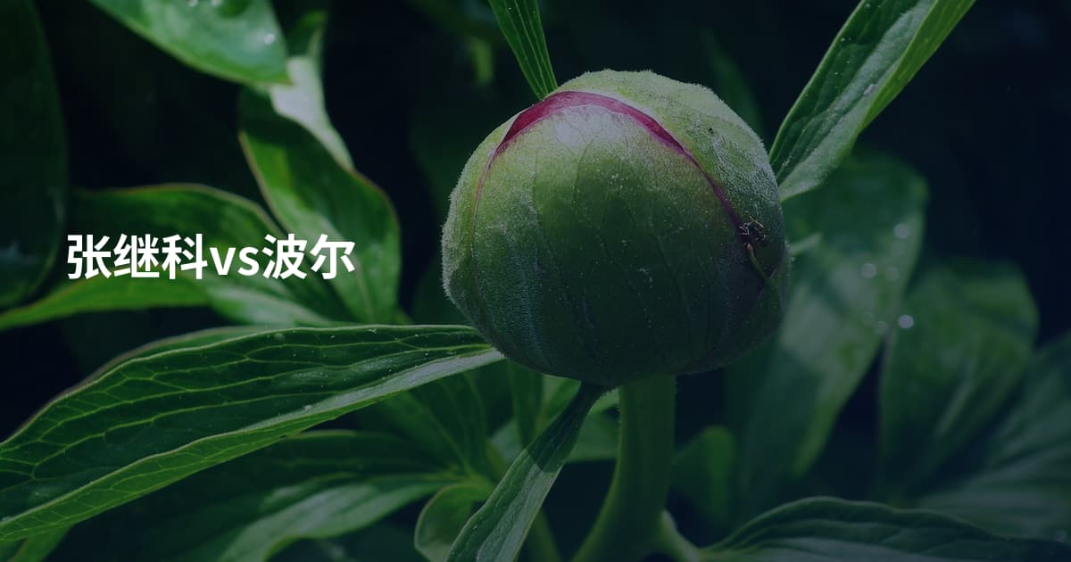 张继科vs波尔