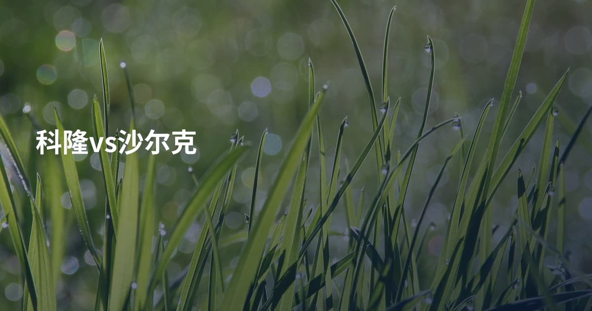 科隆vs沙尔克